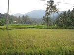 15351IMG_4192.JPG
