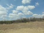 35442DSC02954.JPG