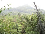 13889IMG_4169.JPG