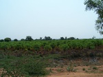 1785026042008(3).JPG