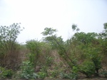 4028RIMG0332.JPG