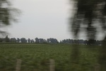 2024-08-05_16-08-53_D2426C80-C2A4-4F3A-B9BE-F4C5356A0F8F.jpeg
