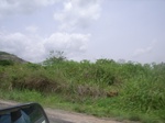 3742RIMG0046.JPG