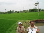 12375007d-irrigated-canal-nagarjunsagar-rice-dominant.gif