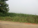 32831CIMG1963.JPG