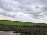 56040CIMG6729.JPG