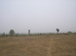 3932RIMG0236.JPG