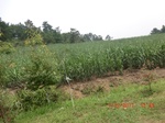 33009CIMG2168.JPG