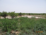 52171Tank ID 1800305 Basavanahalli 1.JPG