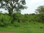 18367P1000203.JPG