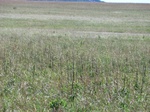 30122CIMG0267.JPG