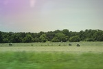 2024-06-17_22-14-45_9BB3F1A2-B87C-468B-A8F4-EF1F7C39FED0.jpeg