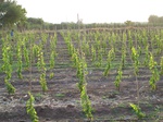 1772122042008(98).JPG