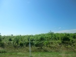 57079CIMG2377.JPG