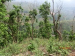 53739CIMG7139.JPG