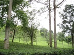14849IMG_5242.JPG