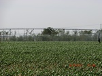 29694CIMG0987.JPG