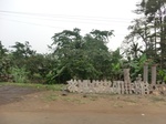45803CIMG2888.JPG