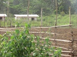 48102CIMG4439.JPG