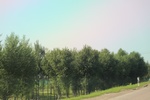 2024-08-05_14-31-47_76730158-A6B0-4E60-9864-C0EAEC6C1B06.jpeg