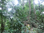 45693CIMG2778.JPG