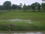 34576RIMG0042.JPG