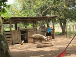32021FC1Aruza.JPG