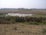 4663RIMG0091.JPG