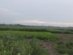 21963DSC00218.JPG