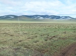 23290P1030004.JPG