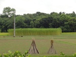 24527DSC00446.JPG