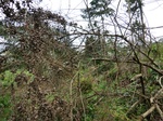 46205CIMG0494.JPG