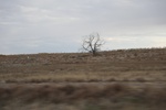 2022-11-02_16-30-57_52CC0508-8068-4391-BCED-3D97B9D63E29.jpeg