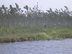 561R0015107.jpg