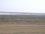 4569RIMG0021.JPG