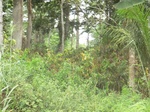 48684CIMG5021.JPG
