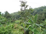 15845IMG_4386.JPG