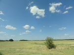 35195DSC02400.JPG