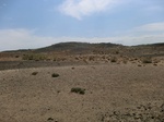 37391CIMG1193.JPG