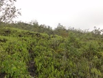 50266DSC02068.JPG