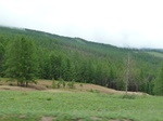 23802P1040882.JPG
