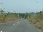 51569P1000747.JPG