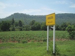 34418IMG_5400.JPG
