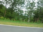 57449CIMG3782.JPG