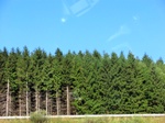 57156CIMG2656.JPG