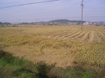 3233R0017267.JPG