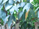 50558CIMG1187.JPG