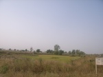 9126RIMG0206.JPG
