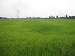 28336IMG_5189.JPG