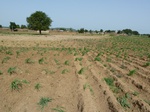 18926P1000770.JPG